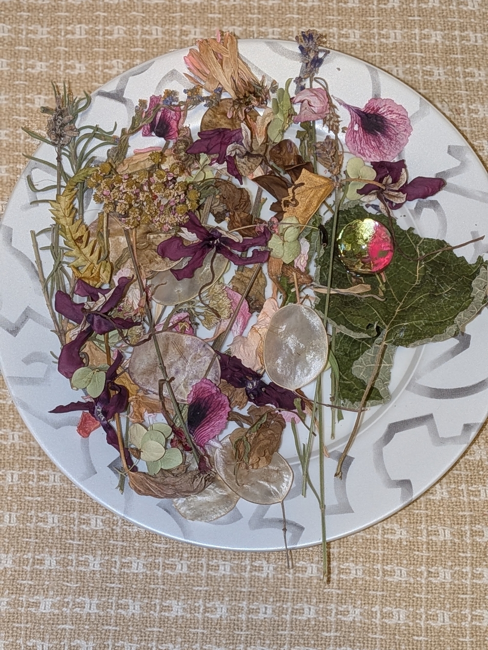 Dried Florals & Plants 4 Reggie
